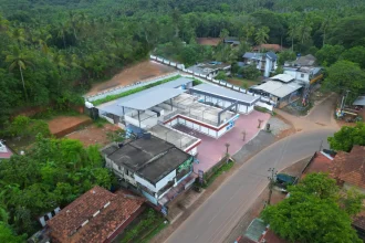junais 3